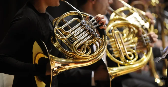 Musicians during concert